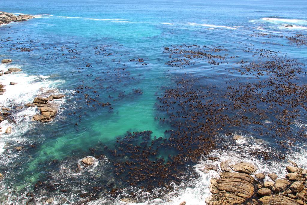 Hotel Ambassador And Self Catering Le Cap